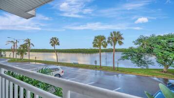 A view from a balcony overlooking a parking lot with a body of water and palm trees.
