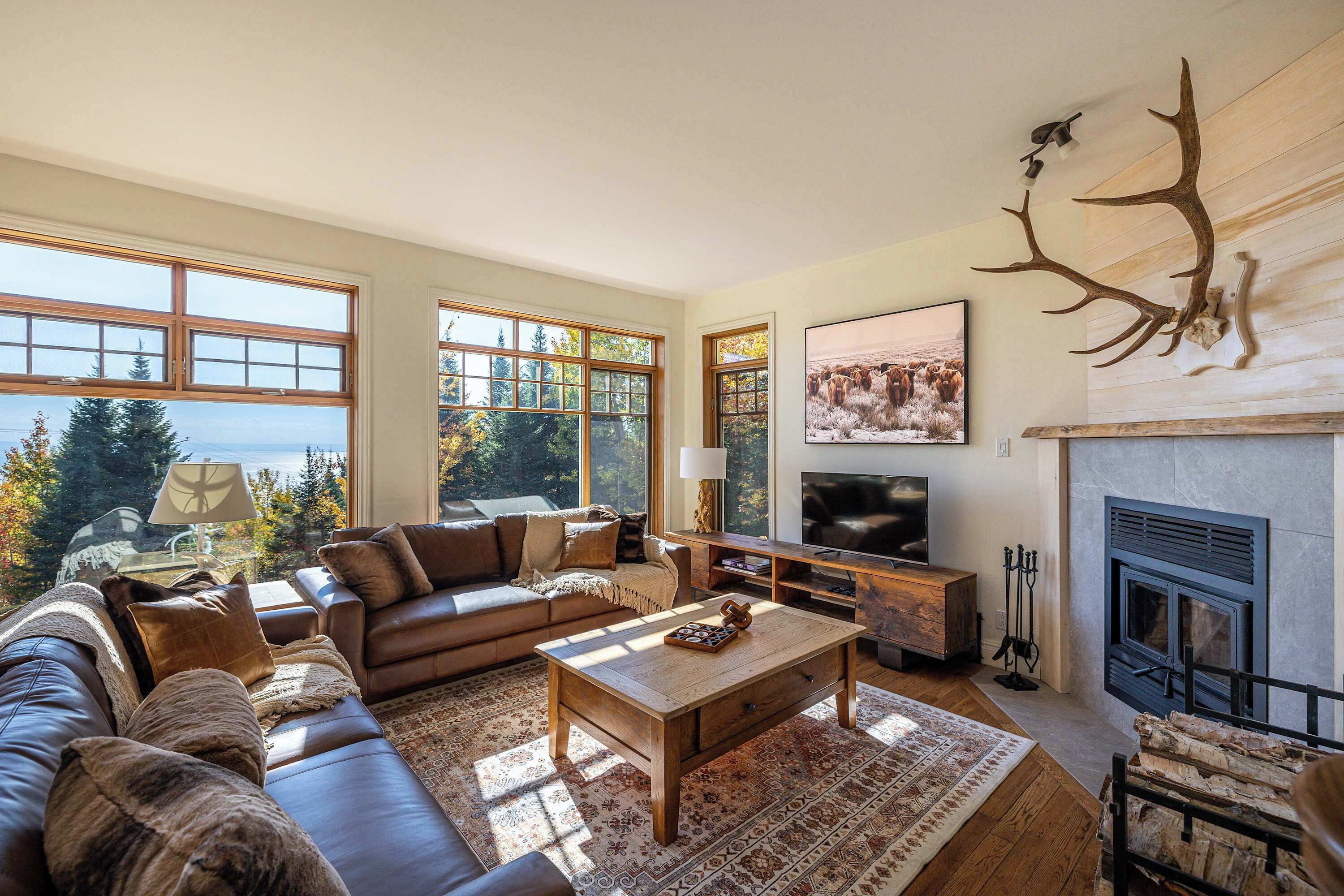 TV, caminetto, studio