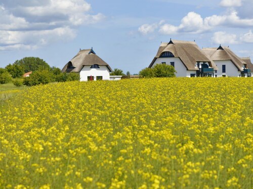 Villa Fasan - Gemütliches Reetdach Haus am Rande vom Naturschutzgebiet