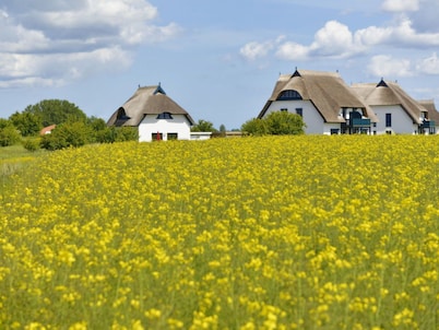 Villa Fasan - Cozy thatched house on the edge of the nature reserve
