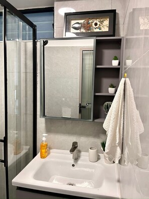 Shower, hair dryer, bidet, towels