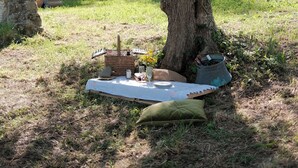 Un pique-nique organisé sous un arbre, avec une couverture, de la nourriture et des récipients pour les boissons.