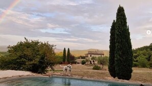 Une piscine avec un chien, un grand arbre et une maison en arrière-plan, le tout sous un arc-en-ciel.