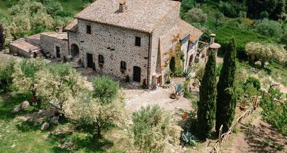 Old farmhouse with pool, only 45 minutes from Rome and 15 minutes from the sea