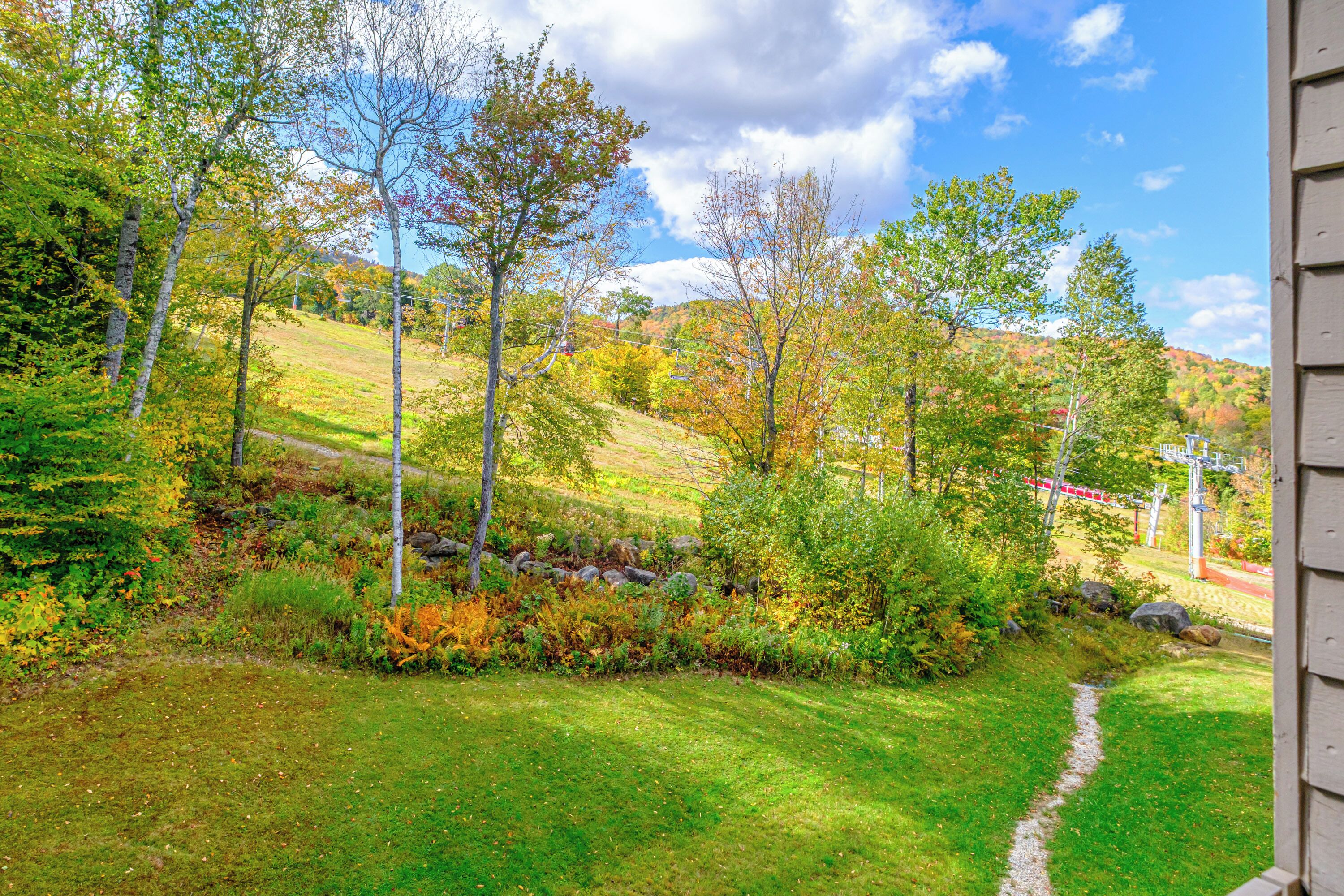 A view of a grassy area with trees and a path leading to a building.