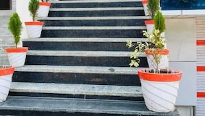 Un escalier extérieur menant à l’entrée d’un bâtiment, de part et d’autre duquel sont disposées des plantes en pot.