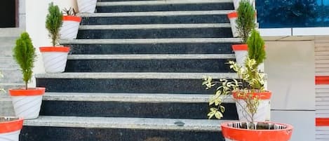 A set of outdoor stairs leading to a building entrance, flanked by potted plants.