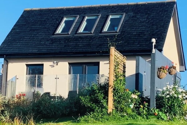 Christmas. Availability 2025