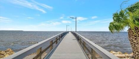 A wooden pier extending into calm waters, with a clear sky and a palm tree on the right.