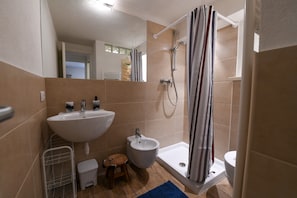 Shower, hair dryer, bidet, towels