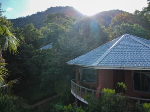 山景