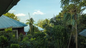 Una casa con techo azul rodeada de vegetación densa, que incluye una palmera alta y cactus.