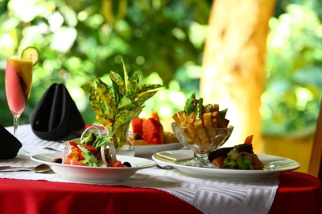 Une table dressée avec divers plats, notamment une salade, un bol de frites et un verre de boisson, le tout sur un fond naturel et verdoyant.