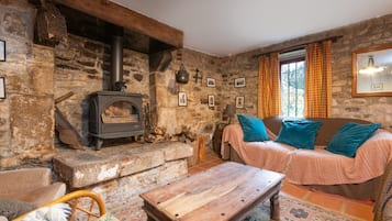 Televisor, llar de foc i reproductor de DVD