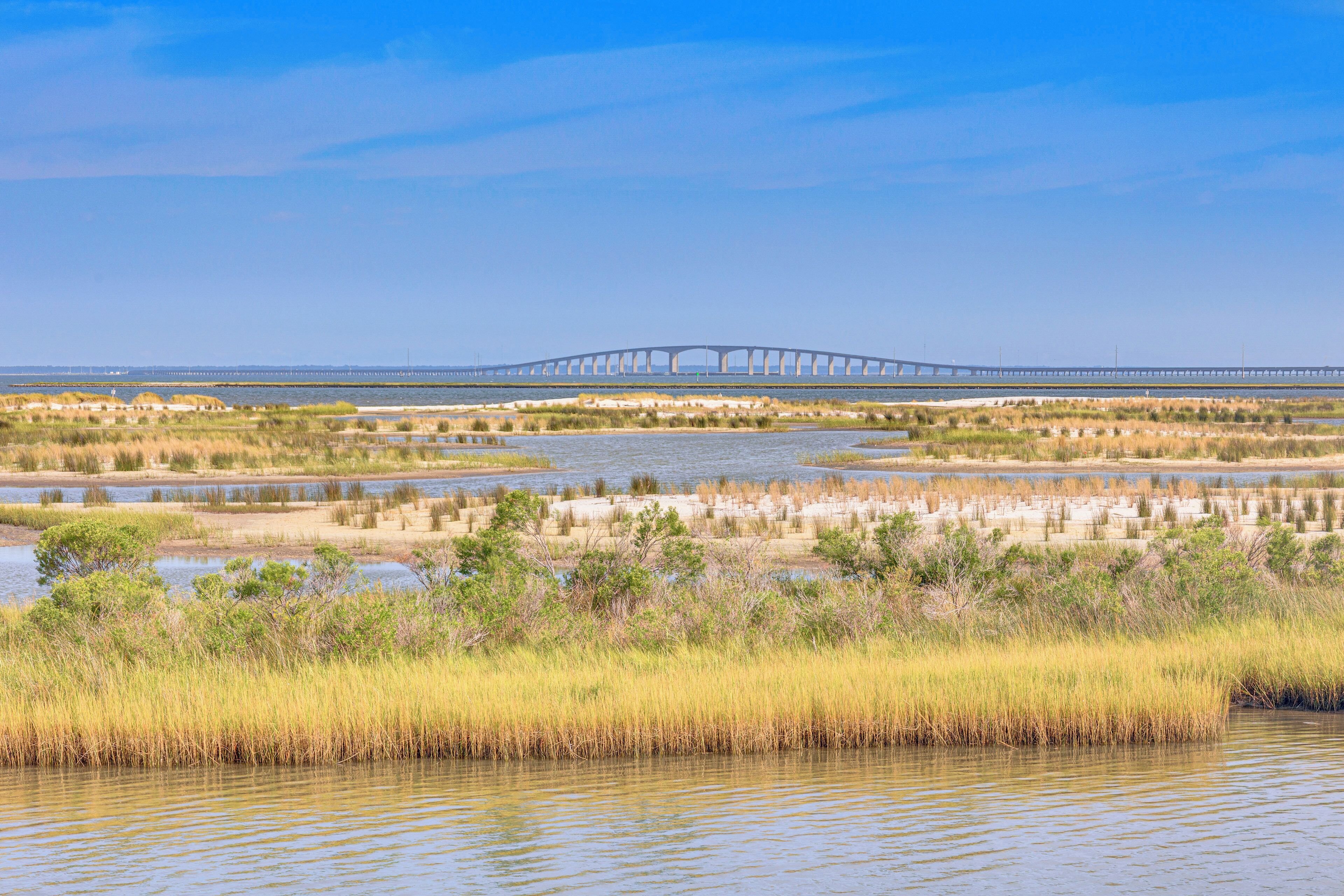 A bridge over a river with marshland in the foreground.