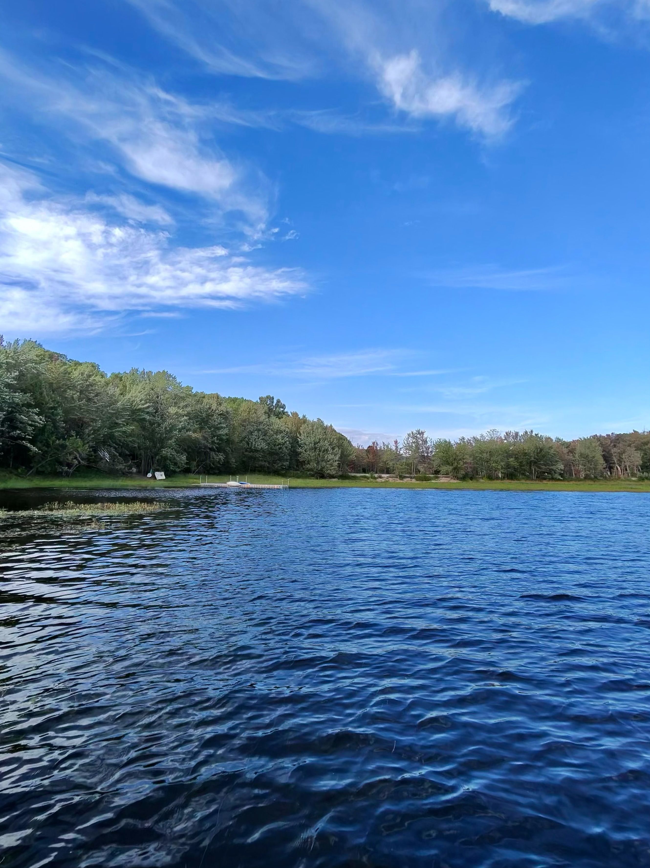 A calm lake with a grassy shoreline and trees in the background.