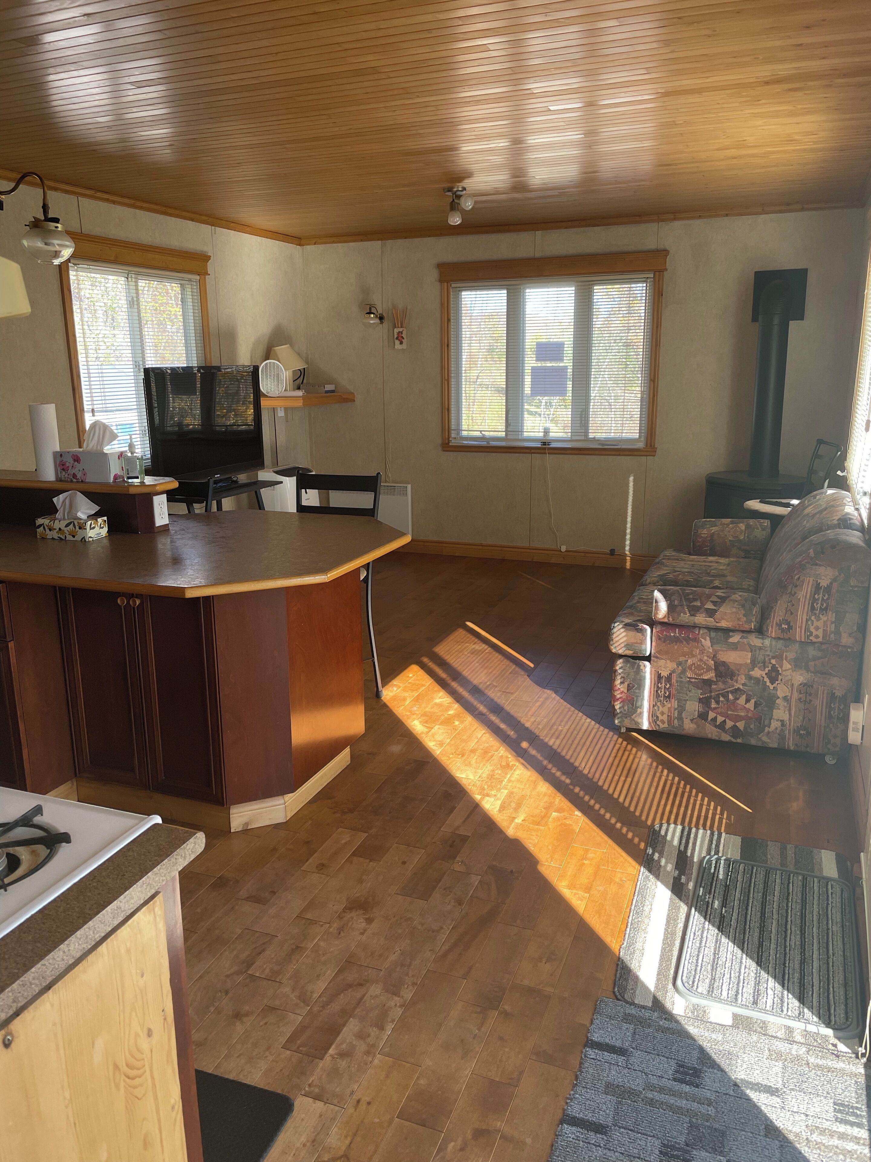 Televisión, chimenea y reproductor de DVD 