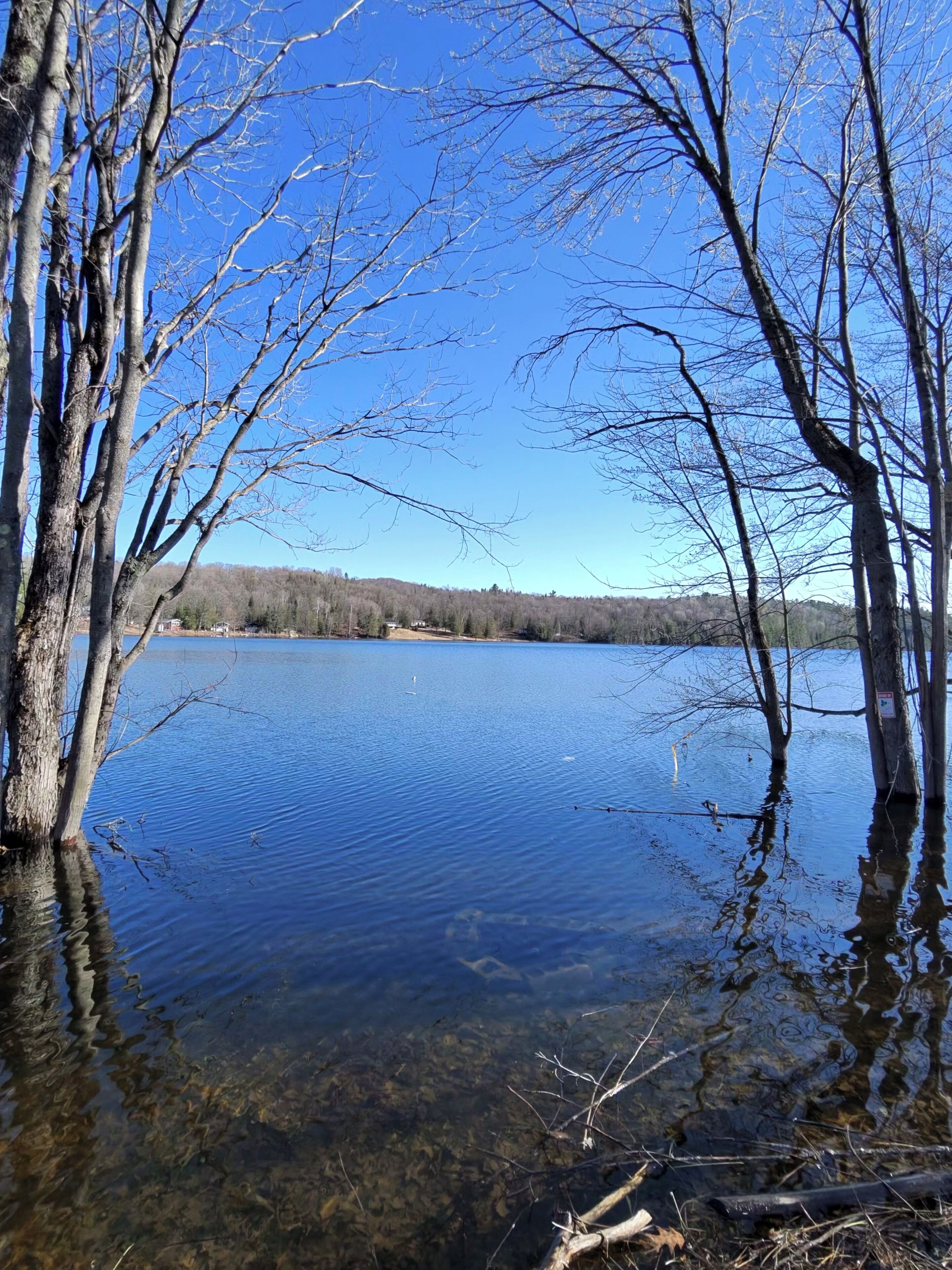 Un lac paisible, entouré d’arbres, dont l’eau claire reflète le ciel.