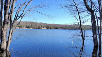 Un lac paisible, entouré d’arbres, dont l’eau claire reflète le ciel.