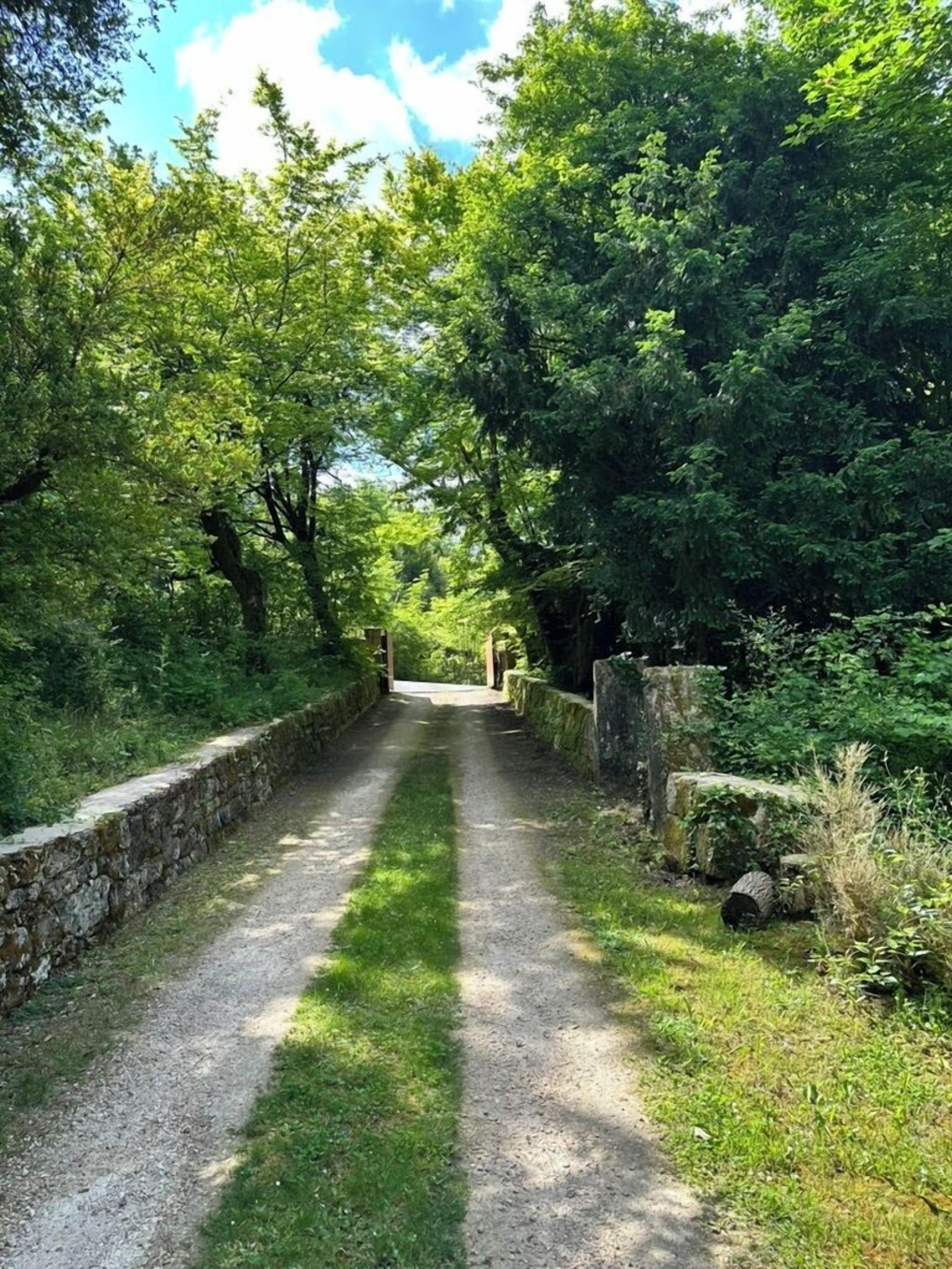 A narrow, stone-lined path through a lush, green forest.