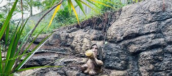 Tropical escape in central location/Entire house