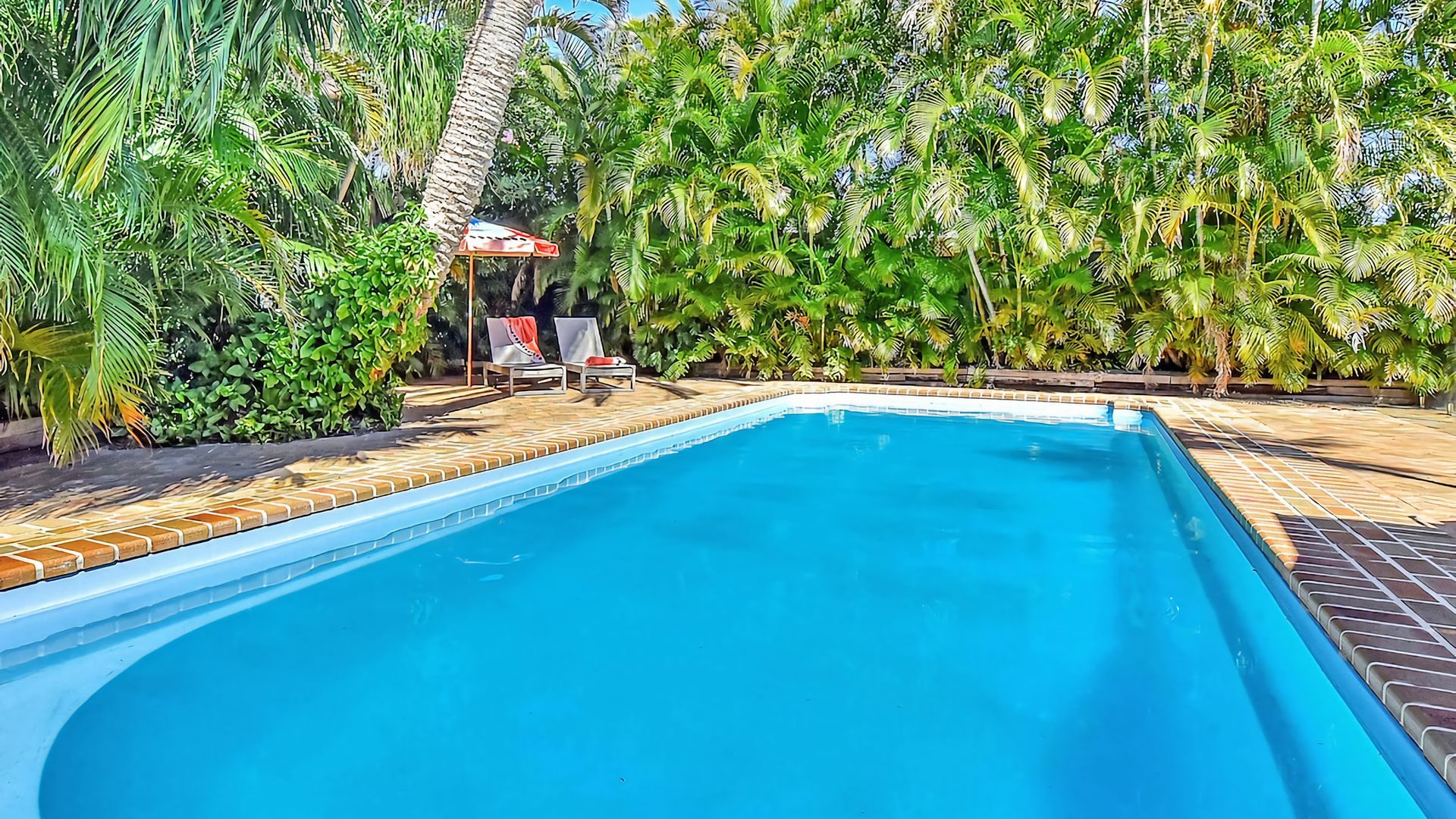 Una piscina rectangular con borde de azulejos, rodeada de exuberante follaje verde y una cubierta de madera.