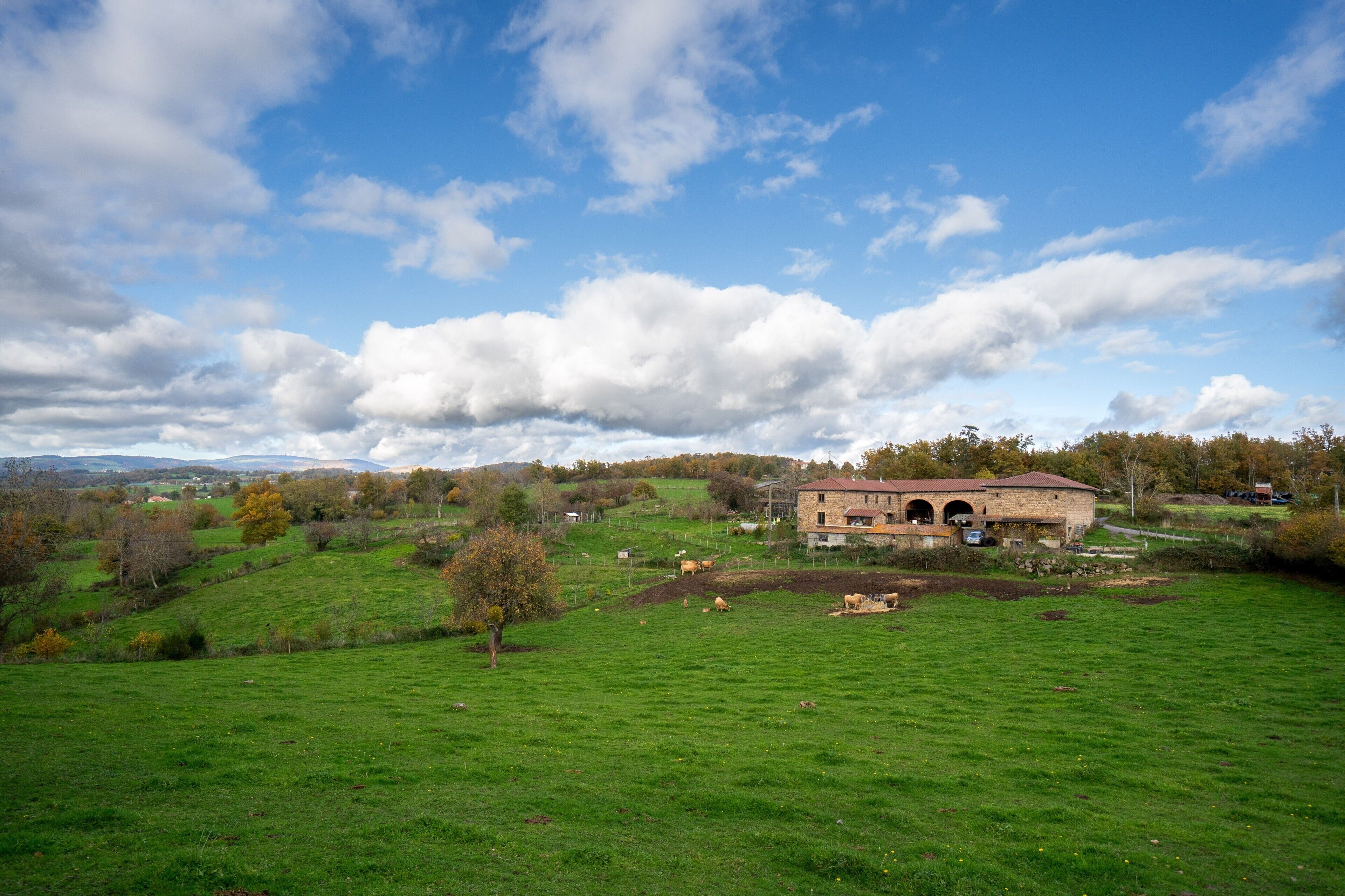 Ländliche Landschaft mit einem Steinhaus und überdachtem Eingang, umgeben von grünen Feldern und Bäumen.