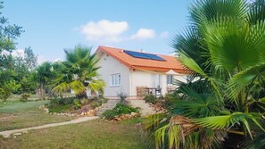A house with a red-tiled roof, a small porch, and a garden with palm trees.