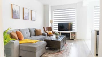 Télévision, cheminée, espaces bureaux