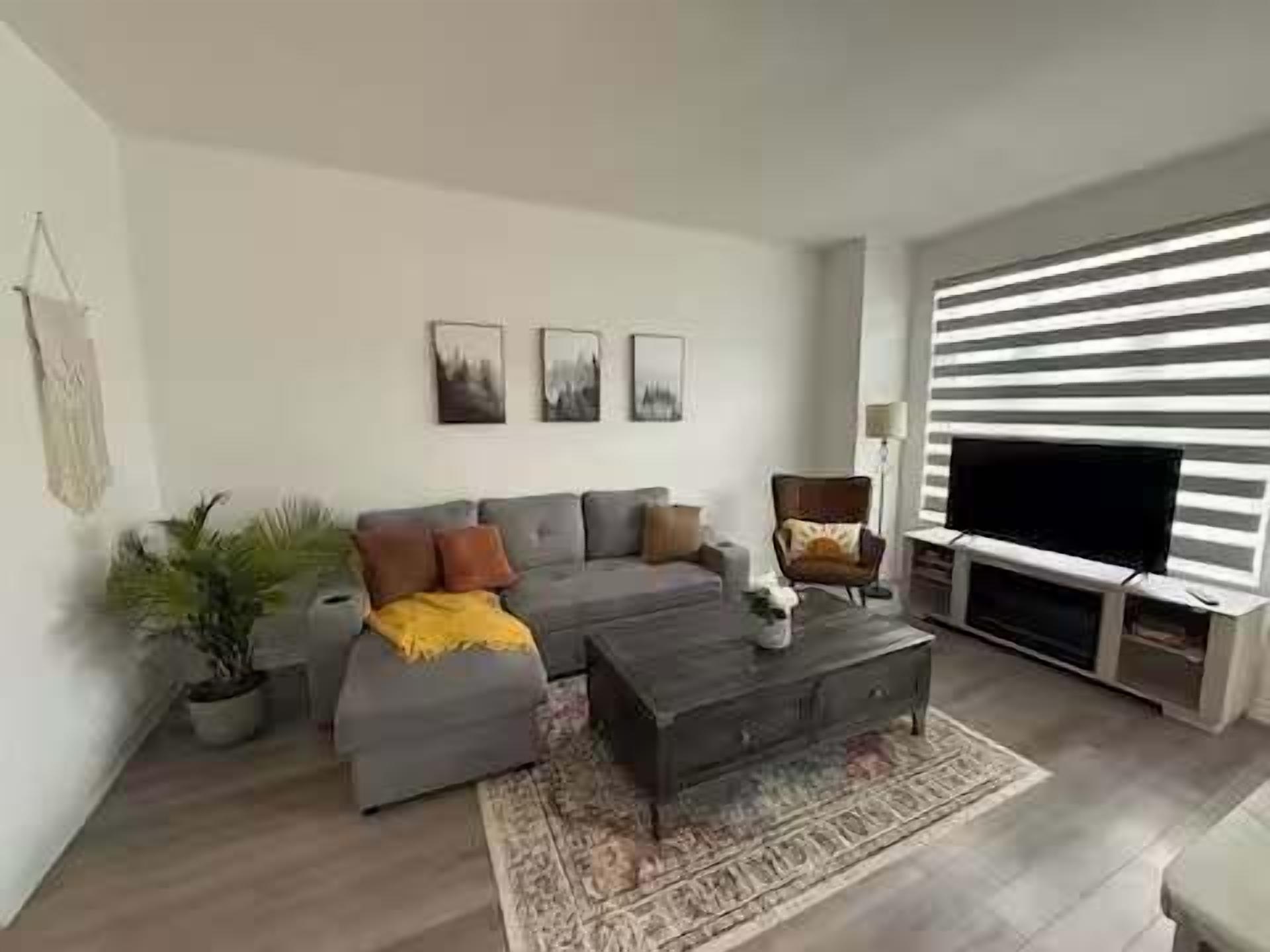 A living room with a grey sofa, a coffee table, a TV, and a potted plant.
