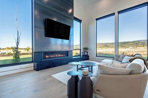 Smart TV, fireplace, books, stereo