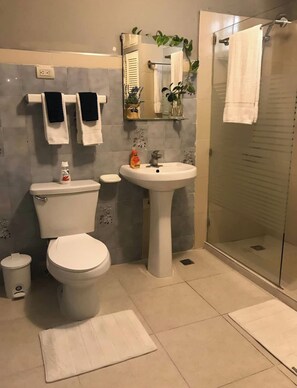 Shower, towels, soap, toilet paper