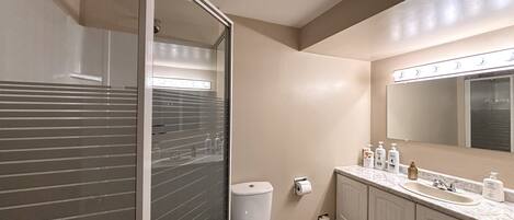 Shower, hair dryer, towels, soap
