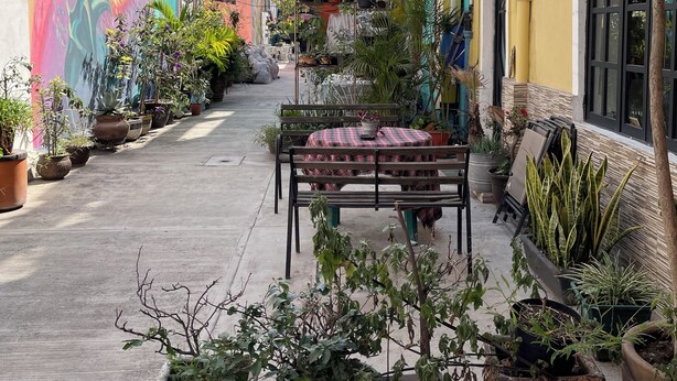 A narrow alley with colorful buildings, potted plants, and a bench with a table.