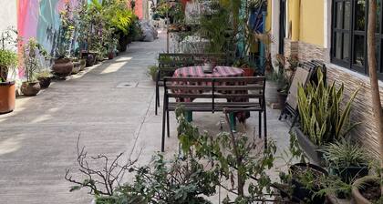 Casa Vecindad Murales - Secret Mural Home in Coyoacán