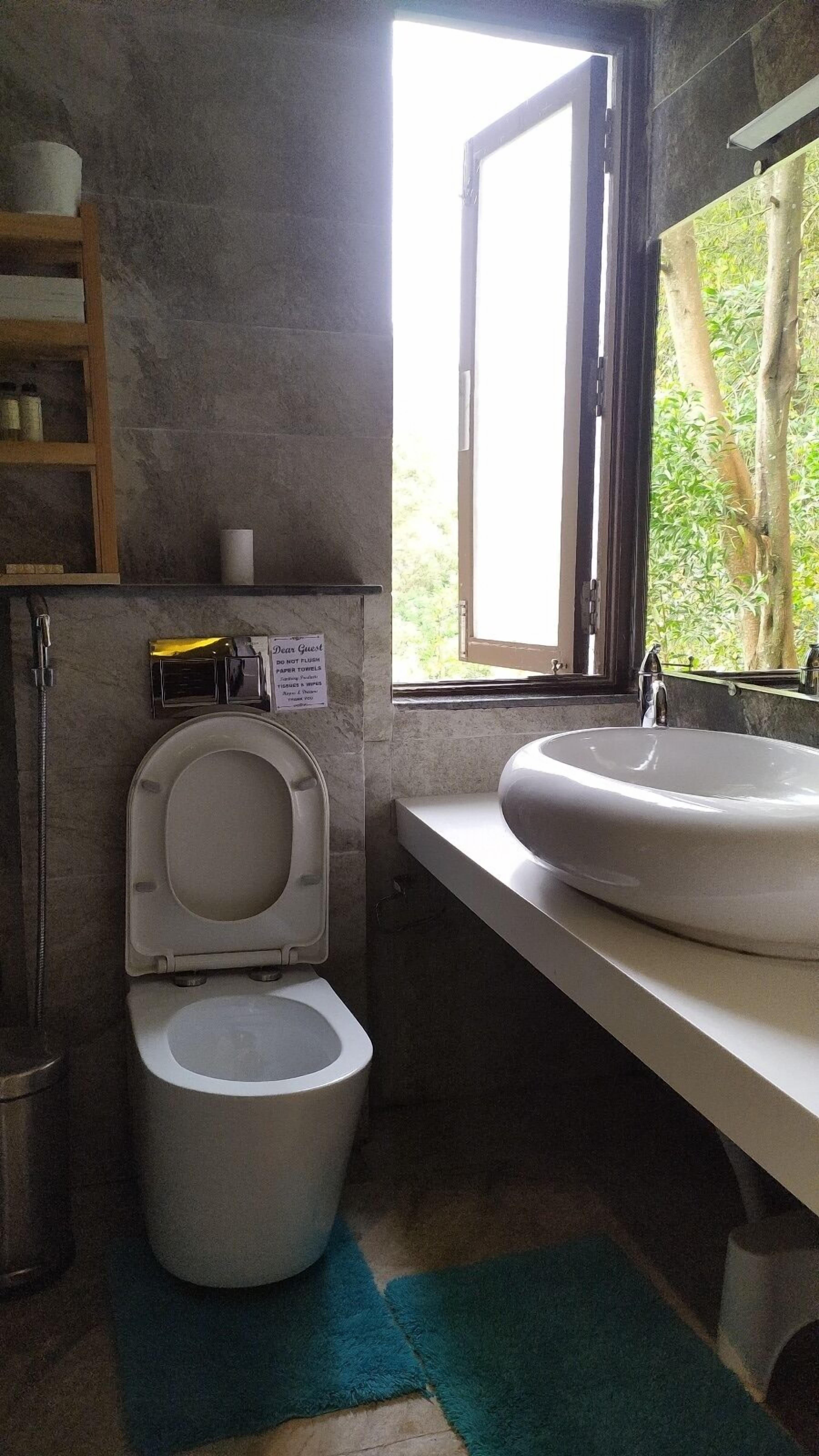 A compact bathroom with a toilet, bidet, and a window providing a view of greenery outside.