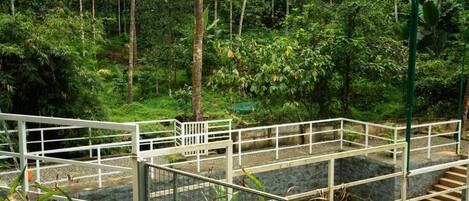 Jardín