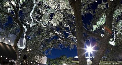 Gorgeous 2BR next to the Domain 5409