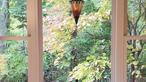 Una camera da letto con un letto, una lampada a sospensione e vista su alberi attraverso ampie finestre.