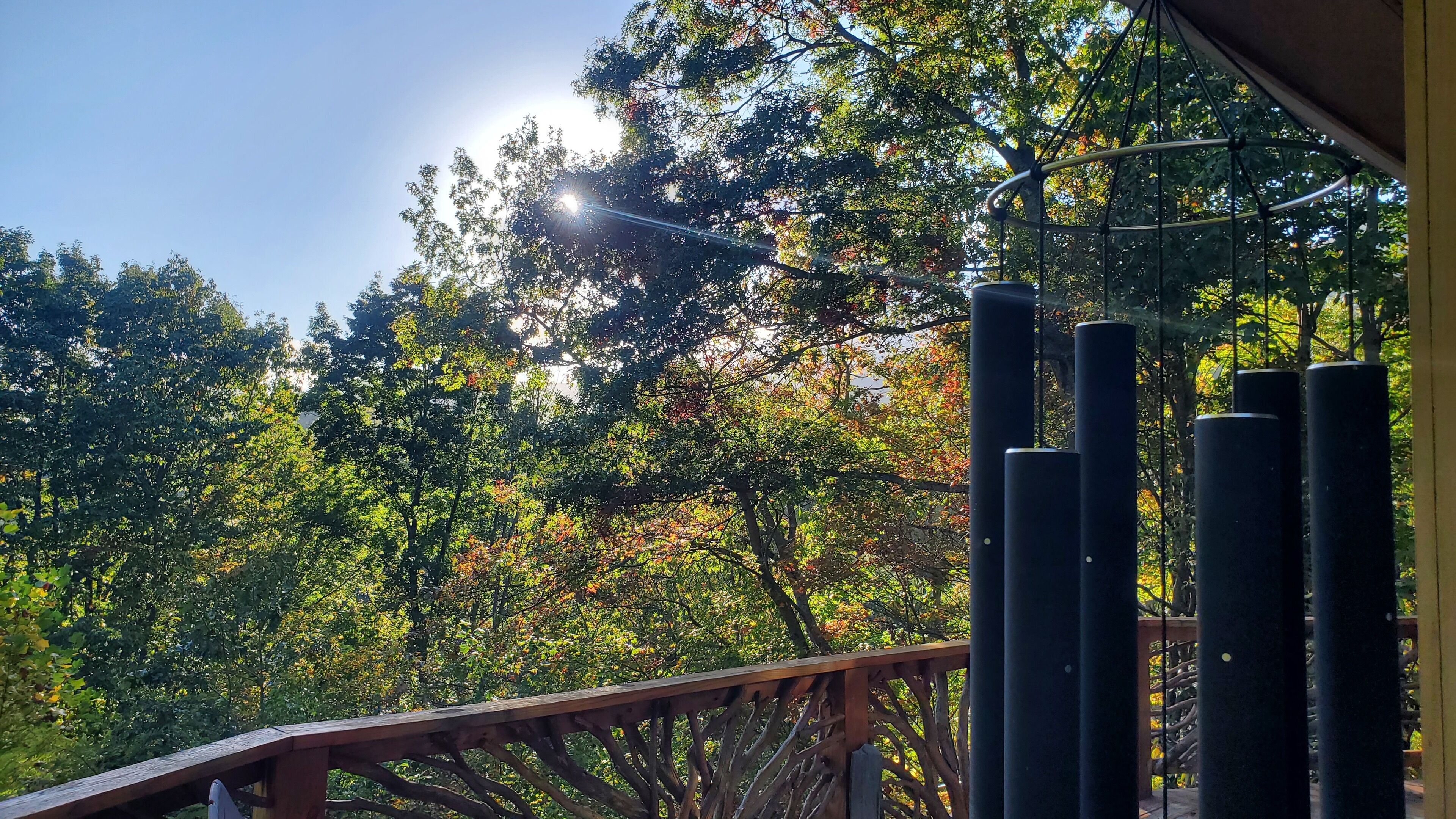 A wooden deck with a metal railing, surrounded by dense trees and a clear sky.