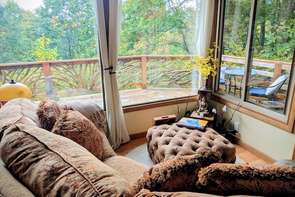 Smart TV, fireplace, books, music library