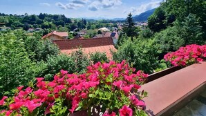 A balcony with pink flowers, a red-roofed building, and a view of a town with green hills in the background. - Gipfelgold | Zugspitze View · Balcony · Königscard (Nesselwang)