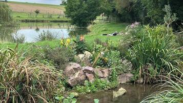 A serene pond surrounded by lush greenery and a variety of plants.