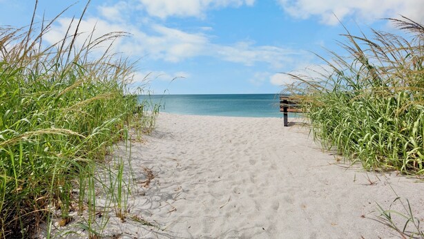 Un sentier de sable qui longe la plage et mène à un banc d’où l’on a une vue sur l’océan, le tout étant entouré de hautes herbes.