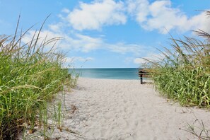 A sandy beach path leading to a bench overlooking the ocean, surrounded by tall grasses.