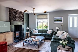 Smart TV, fireplace, books