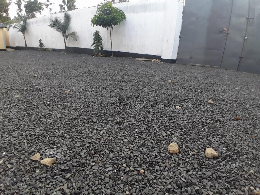 Un sol recouvert de gravier, parsemé de rochers et de petits arbres.