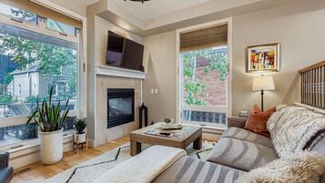 智能电视、壁炉