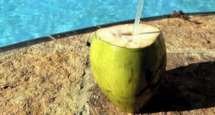 Casa Kite Academy - backroll suite