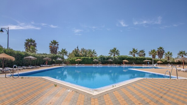 A swimming pool with lounge chairs and umbrellas, surrounded by palm trees and a clear sky. - Apartment 'Albatros' with Shared Pool, Private Terrace and Wi-Fi (Ayamonte)